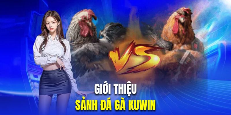 Giới thiệu sân chơi chọi kê trực tuyến nhà cái