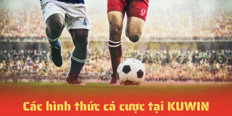 Các loại hình thức cá cược tại KUWIN