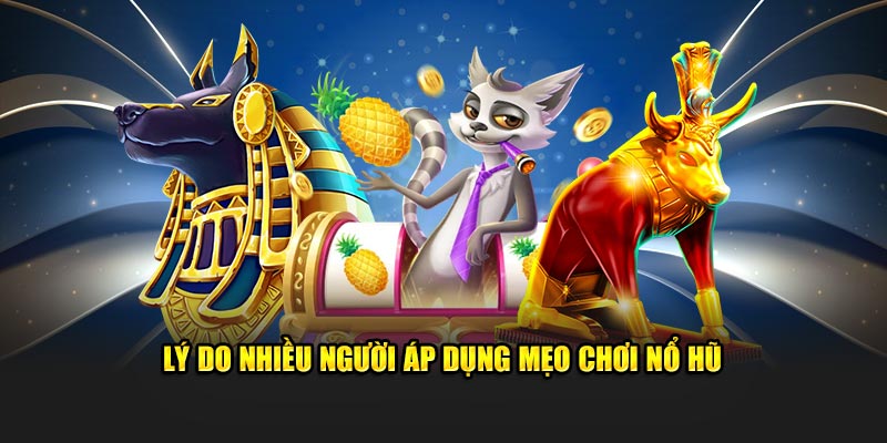 Lý do nhiều người áp dụng mẹo chơi nổ hũ khi tham gia tại Kuwin